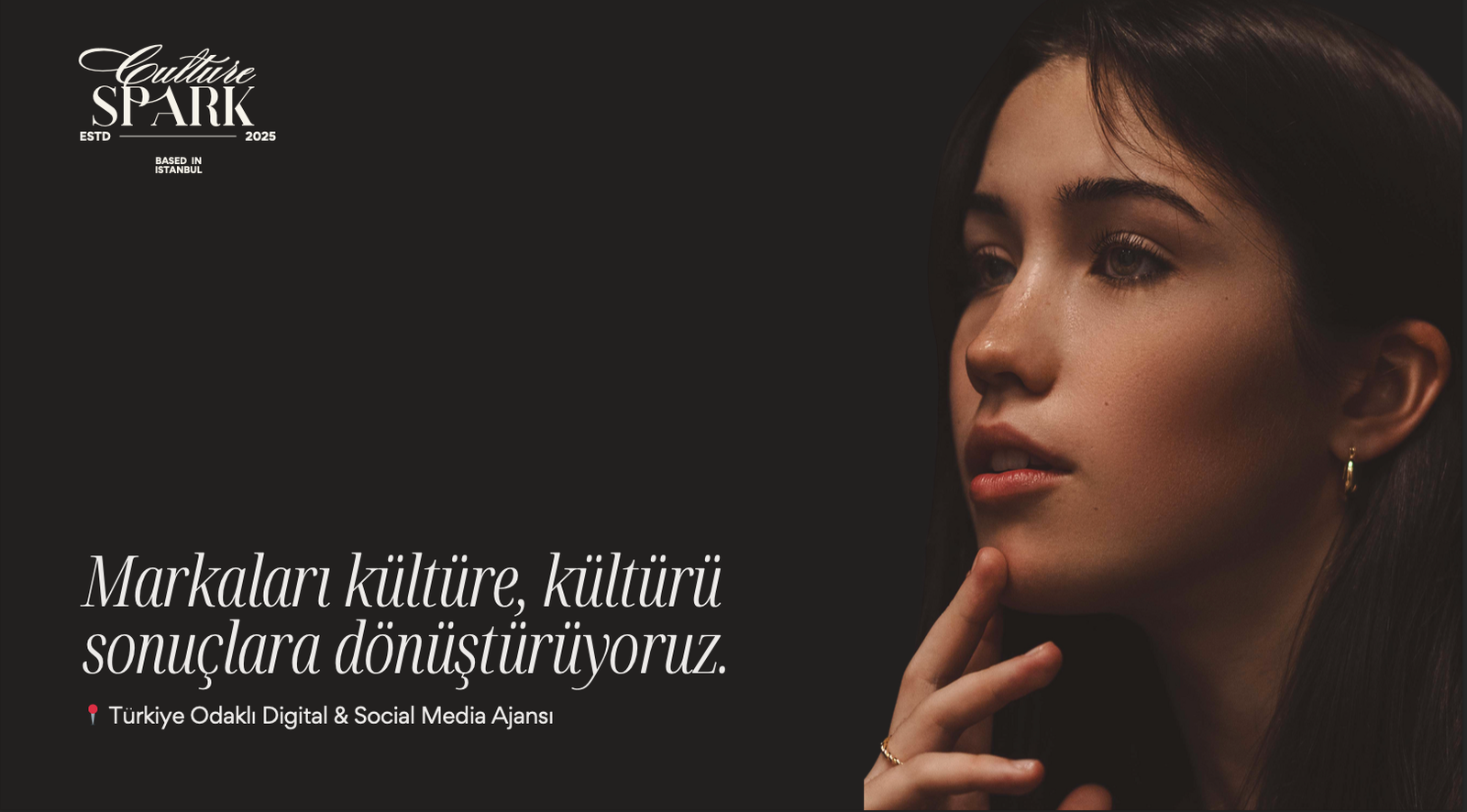 Culture Spark Digital Transformation by Meisterworks