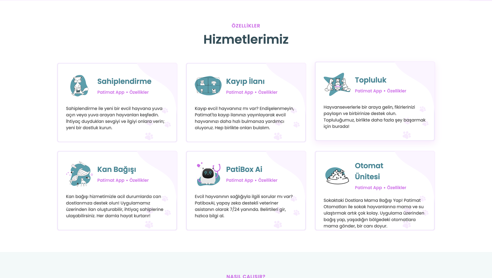 PatimatApp Cloud Backend by Meisterworks