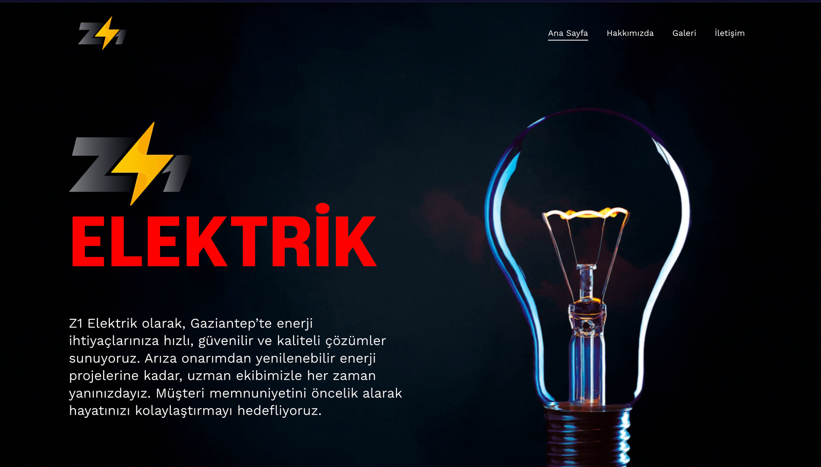 Z1 Elektrik - Web3 Energy Solutions by Meisterworks