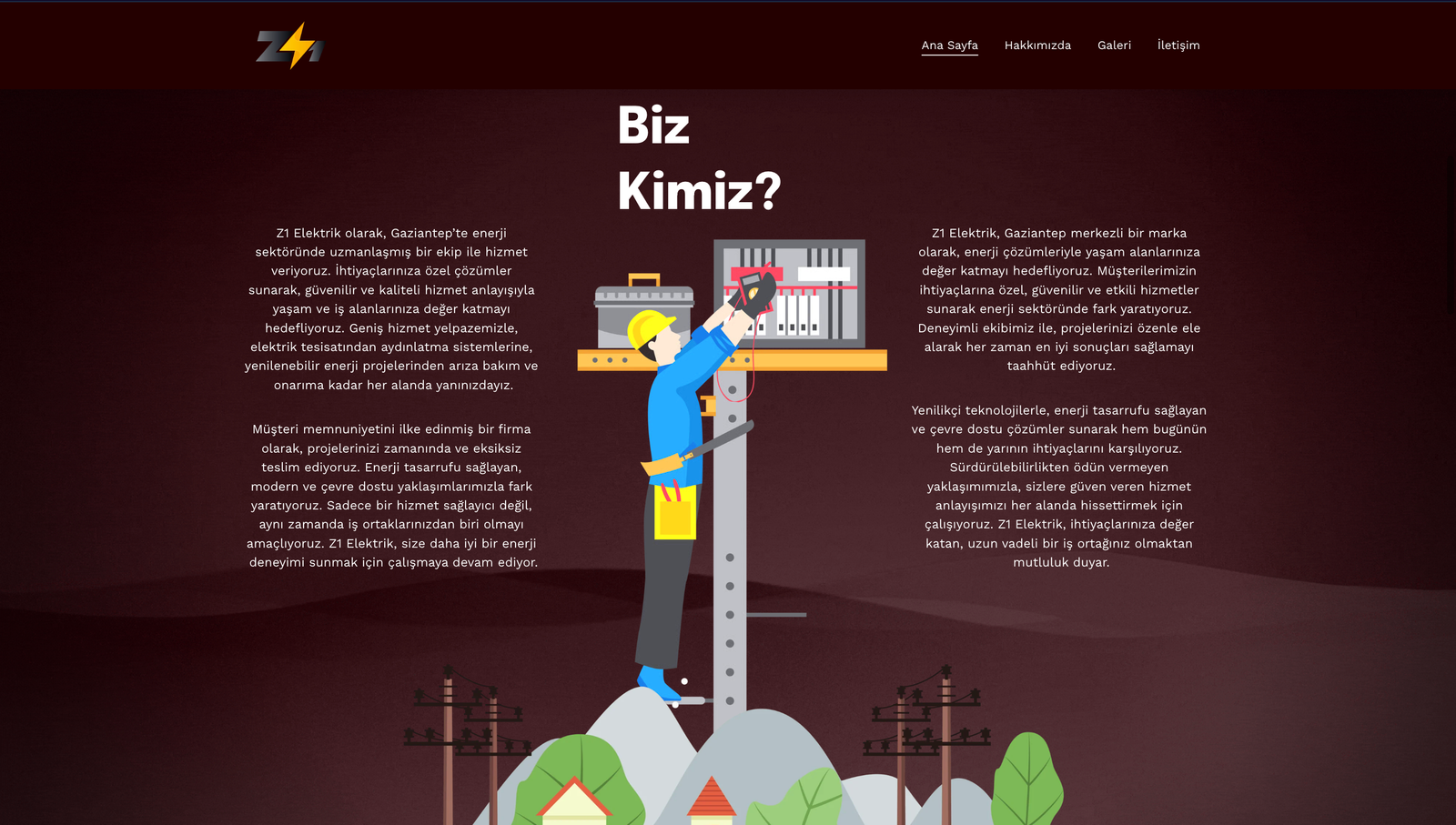 Z1 Elektrik Performance Engineering by Meisterworks